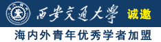 插色干诚邀海内外青年优秀学者加盟西安交通大学